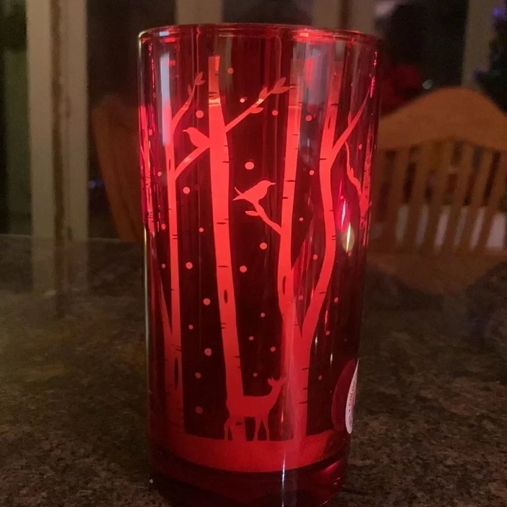 Beautiful Winter Holiday Candle 9.5 oz.